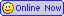 Online Support Center